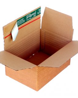10 Kartons Versandverpackungen Aufrichtekarton selbstklebend braun A5+ 685700 